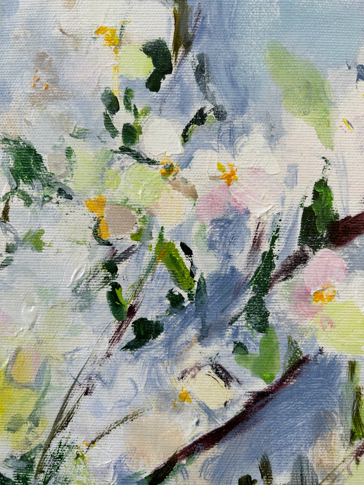 Apple Flowers - 100x100cm