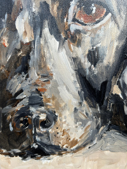 Kaivarin koirat 33x24cm