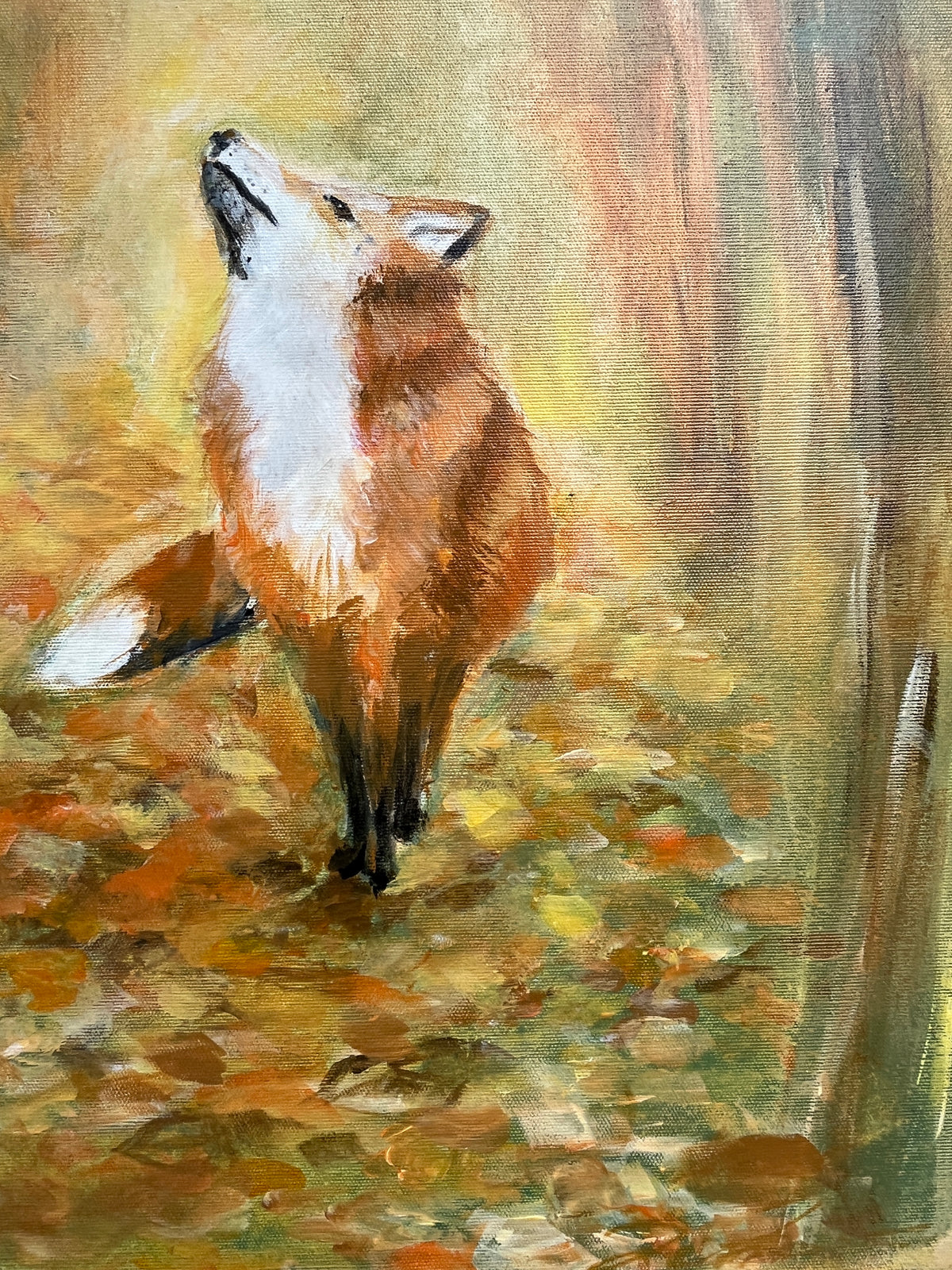 Pikku Kettu 61x50cm