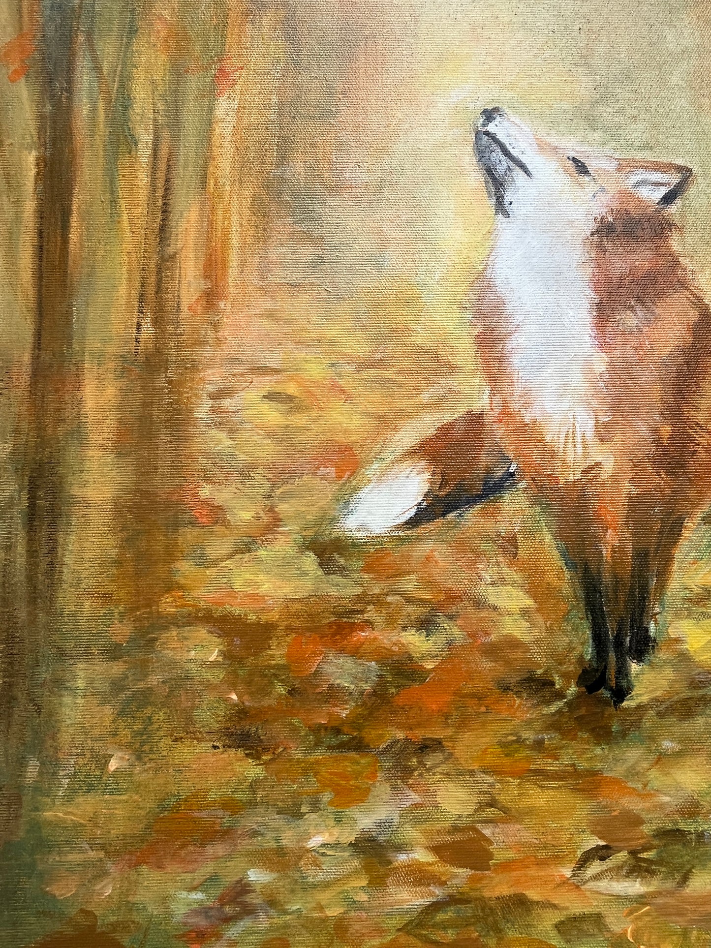 Pikku Kettu 61x50cm